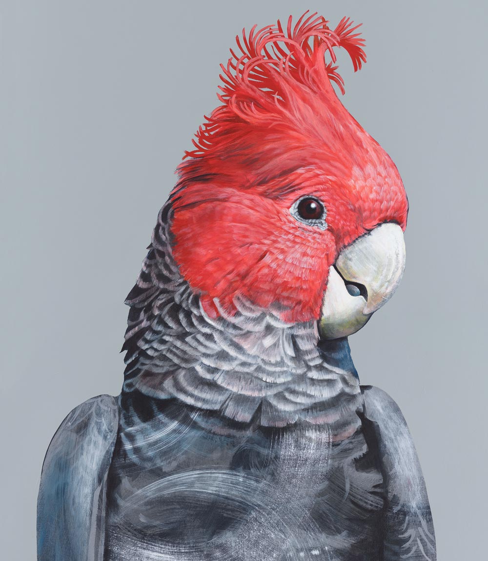 Rocket Gang Gang Limited Edition Print