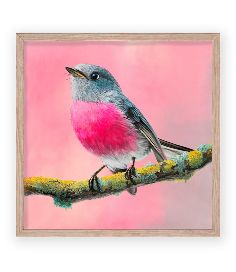 Rose Robin Limited Edition Print