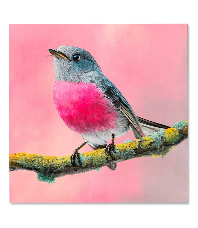 Rose Robin Limited Edition Print
