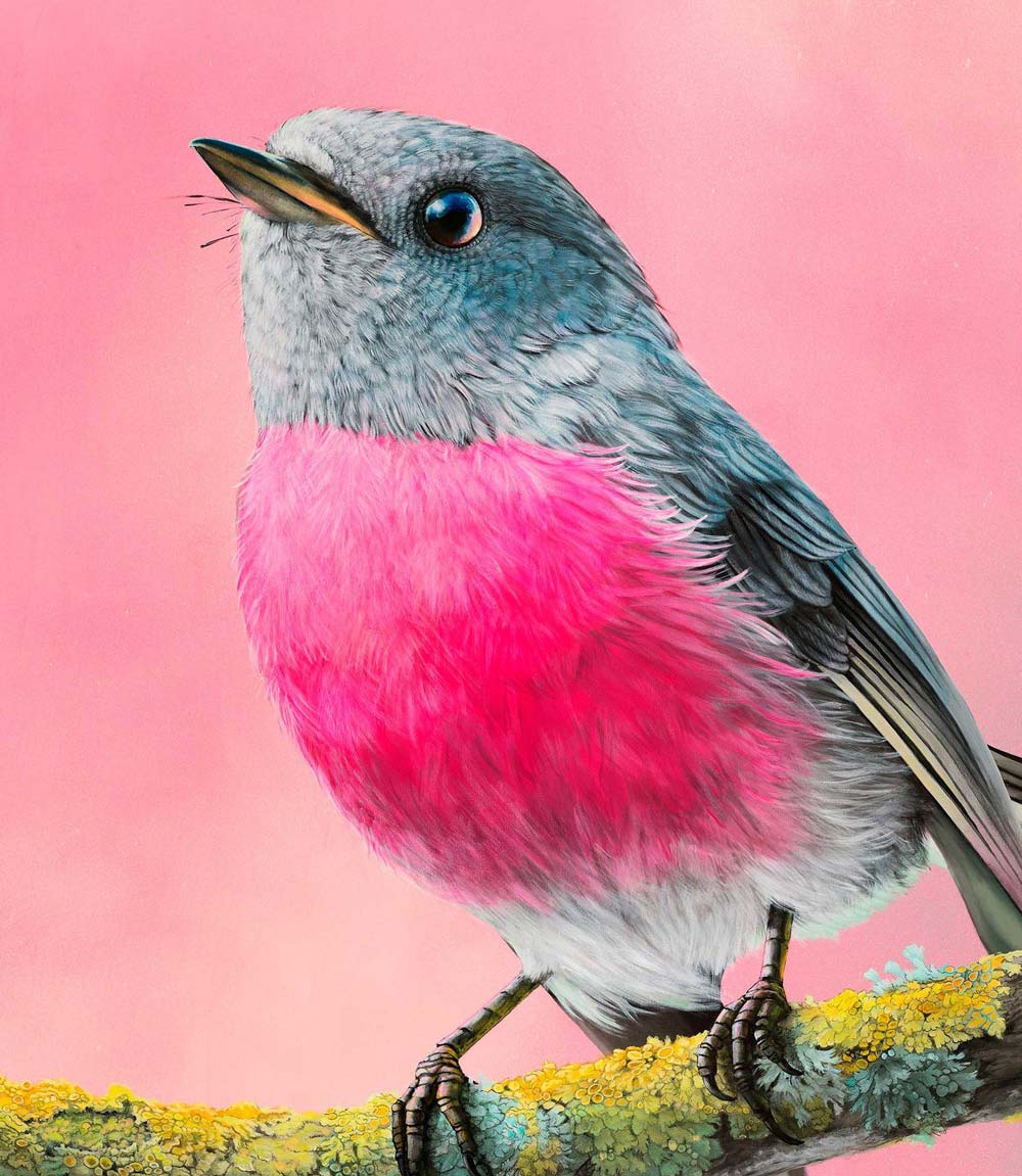 Rose Robin Limited Edition Print