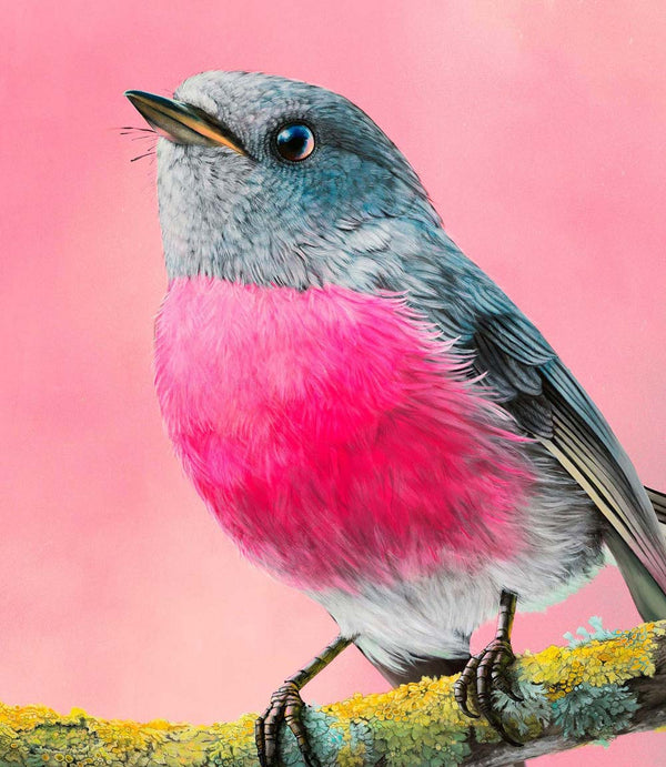 Rose Robin Limited Edition Print Geoffrey Carran