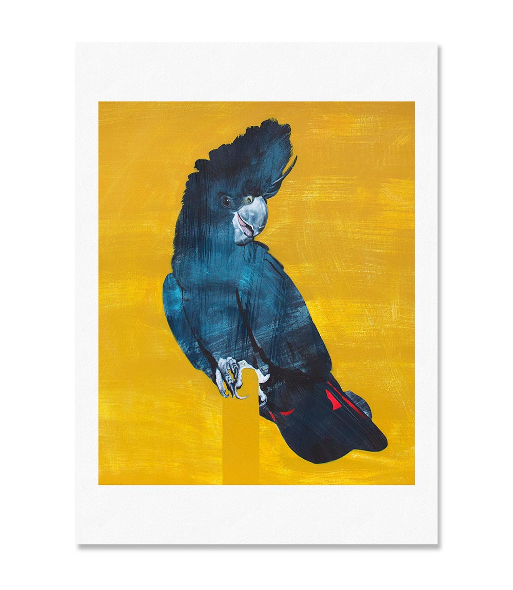 Starpicket Limited Edition Print