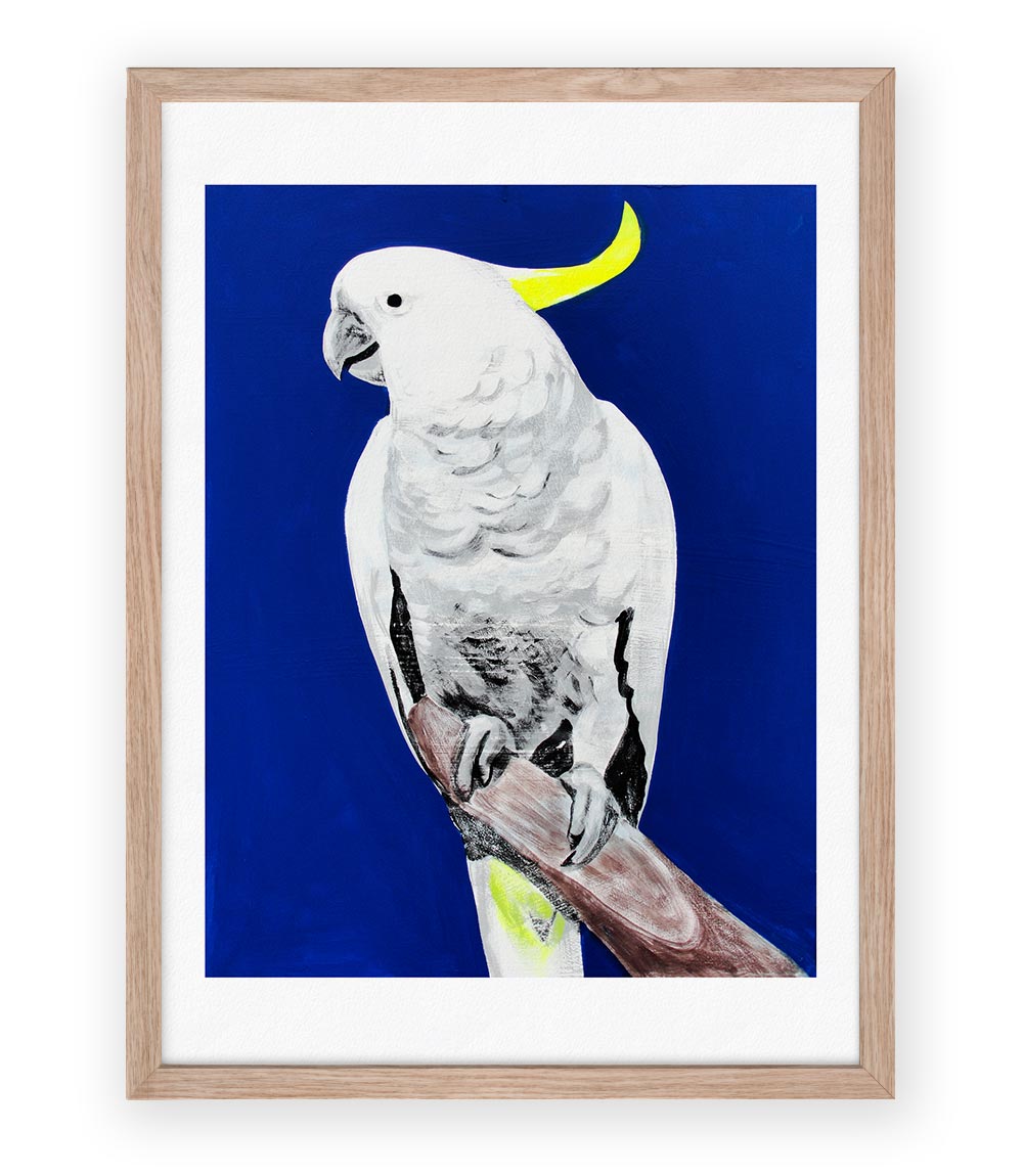 Sulphur Crested Limited Edition Print
