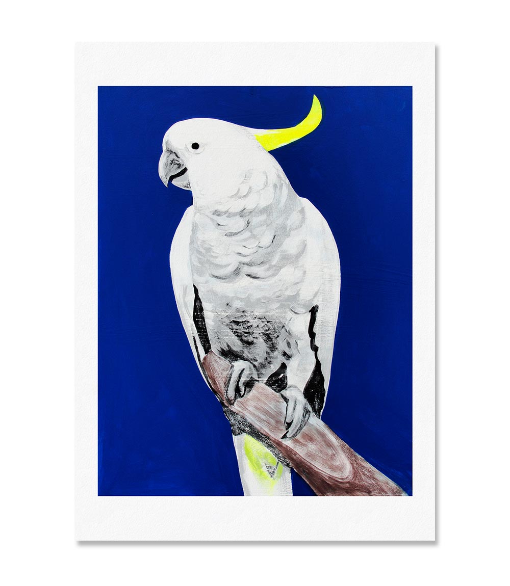 Sulphur Crested Limited Edition Print