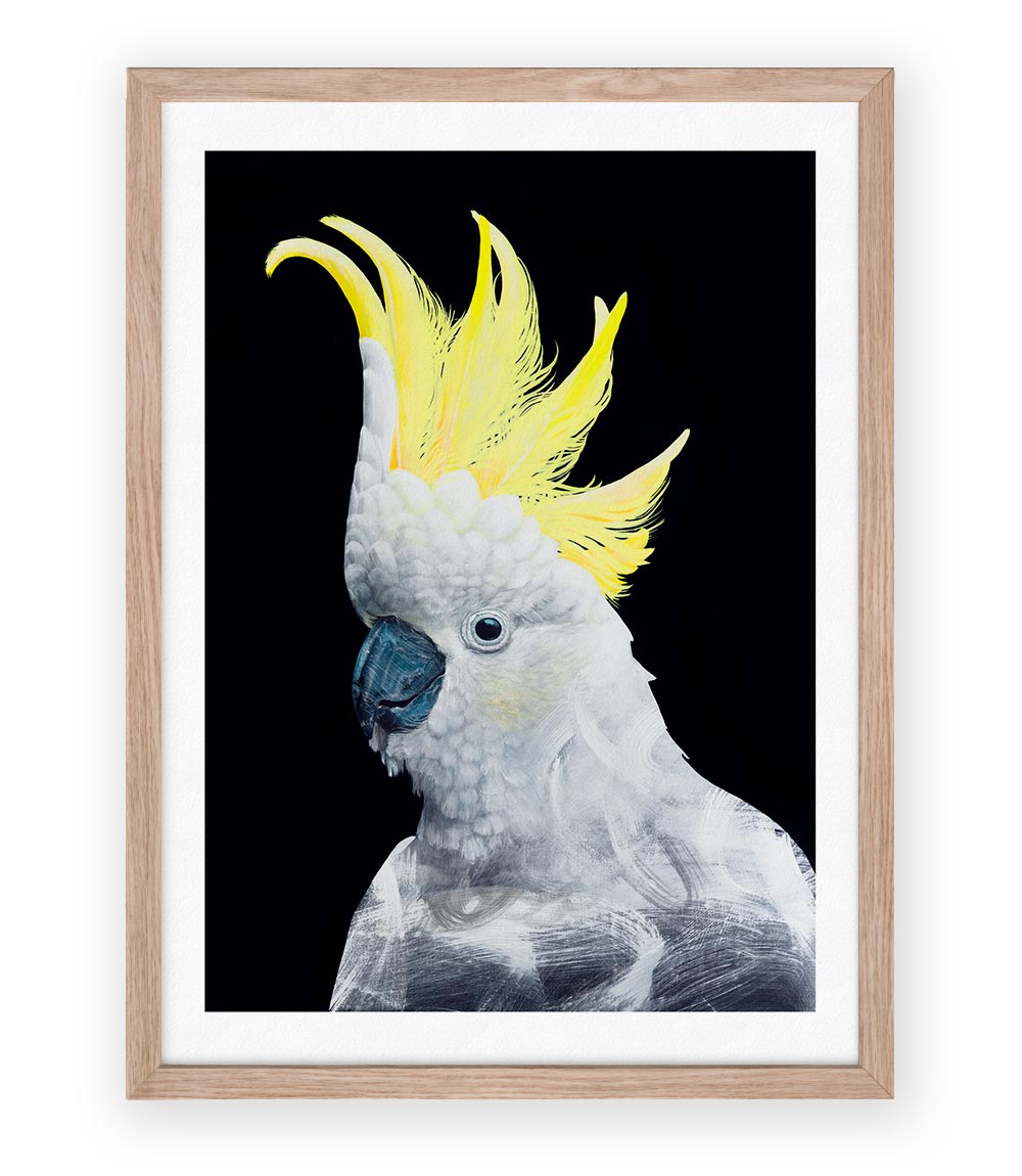 Cockatoo Australian bird art print by Geoffrey Carran — limited edition framed with white border