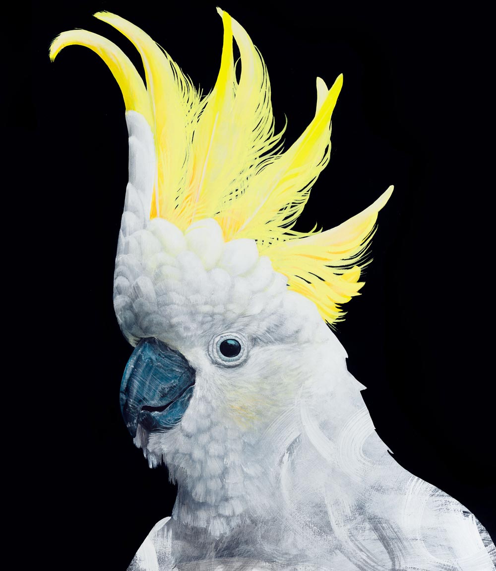 Cockatoo Australian bird art print by Geoffrey Carran — limited edition print- detail