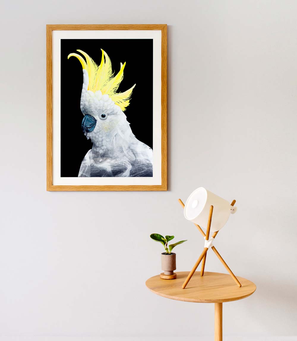Cockatoo Australian bird art print by Geoffrey Carran — limited edition framed with white border-